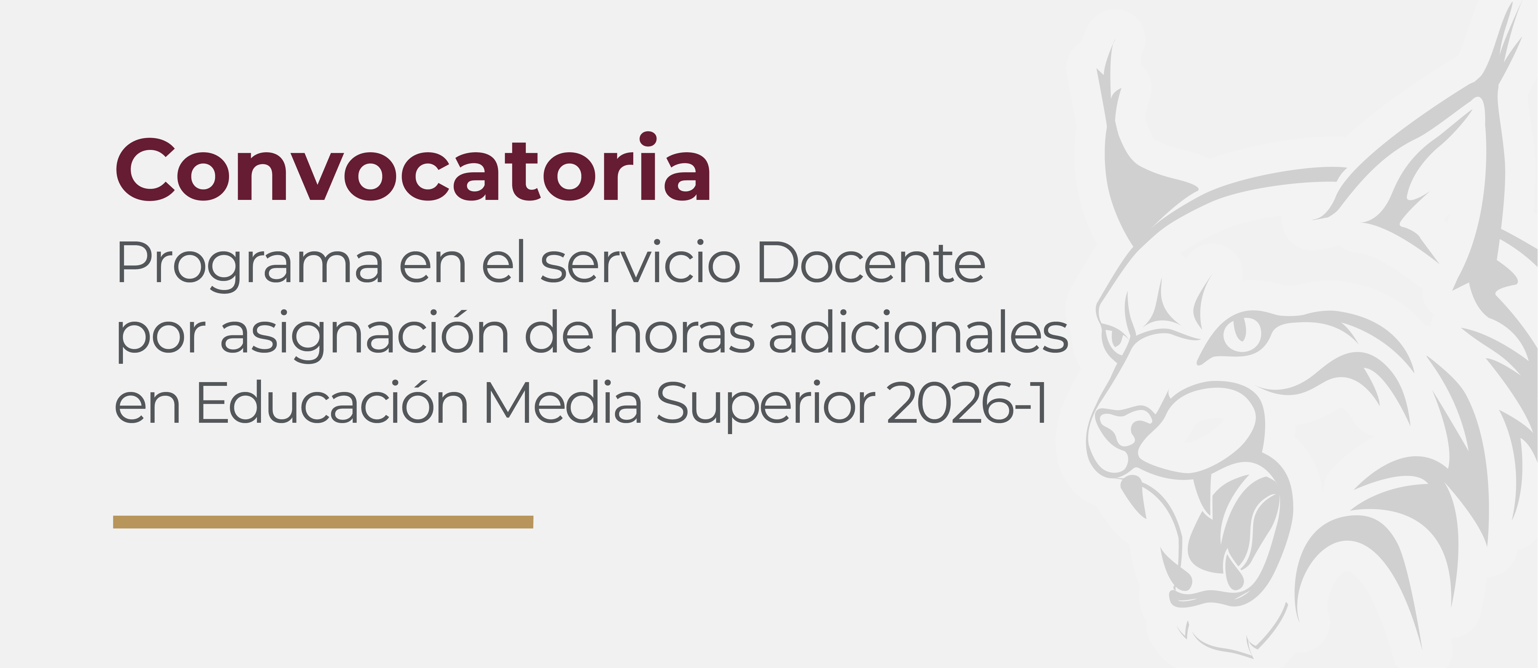CONVOCATORIA