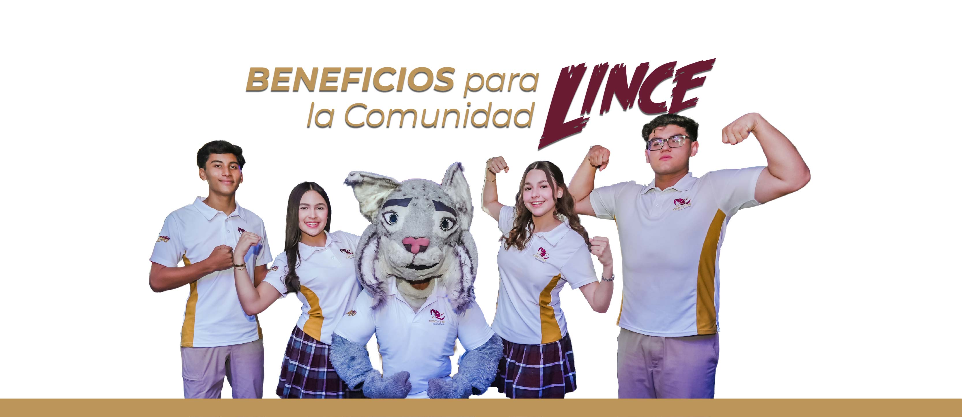 Beneficios para la Comunidad Lince