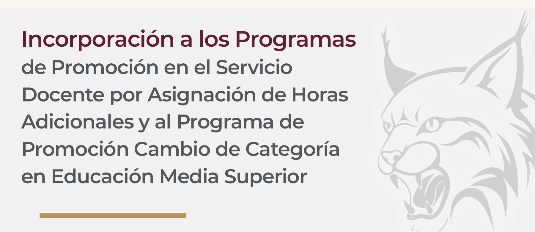 CONVOCATORIA