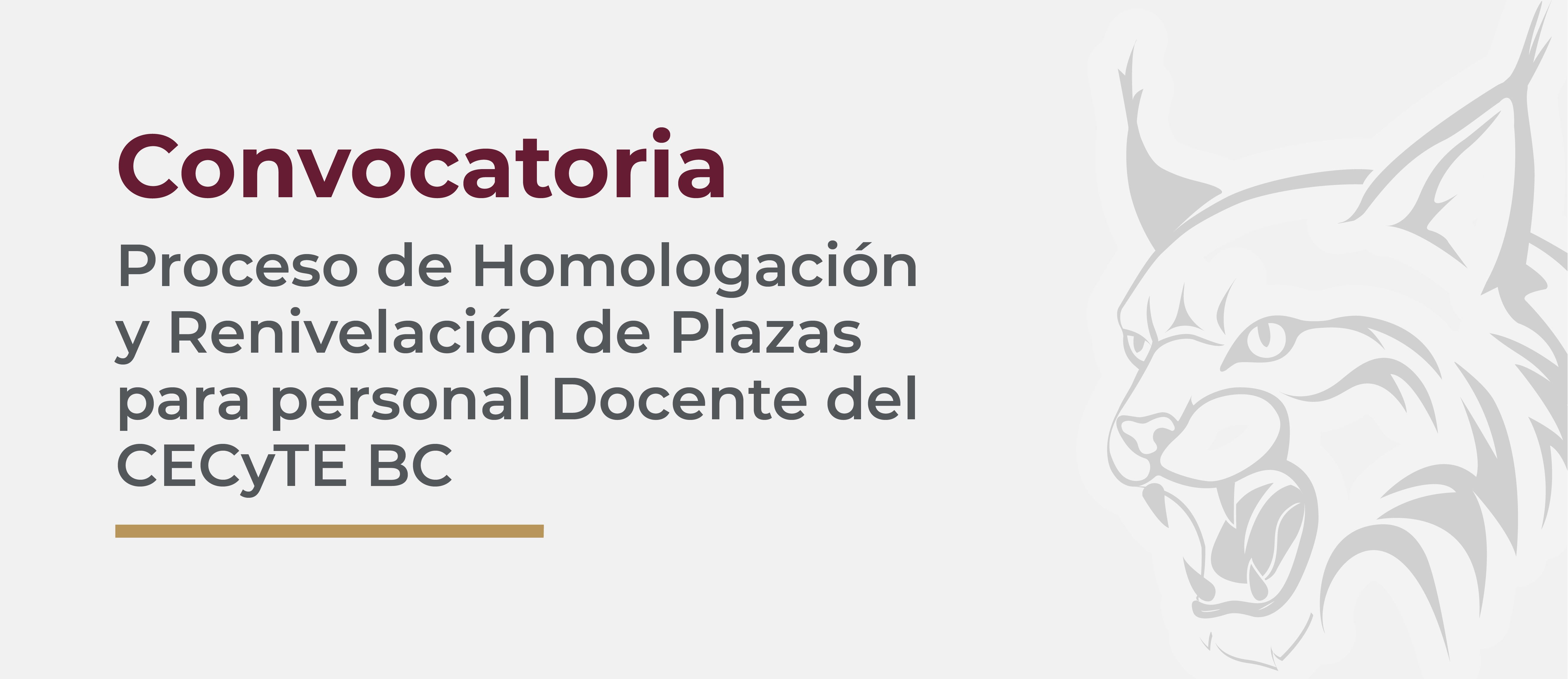 CONVOCATORIA