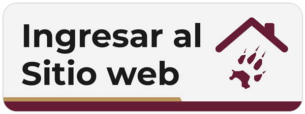 Ingresar al sitio web