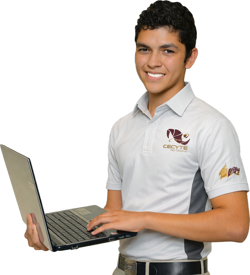 Técnico en Programación